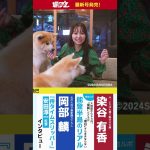 週プレNo.42発売中！表紙は本郷柚巴ちゃん！　#shorts