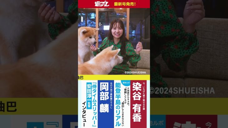 週プレNo.42発売中！表紙は本郷柚巴ちゃん！　#shorts